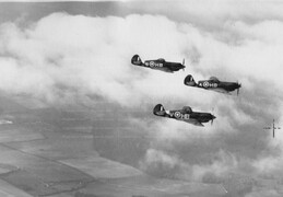 Curtiss P-40 Tomahawks