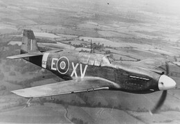 AG633 North American Mustang