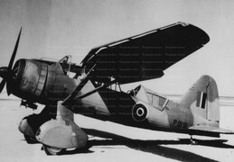 P9191 Westland Lysander