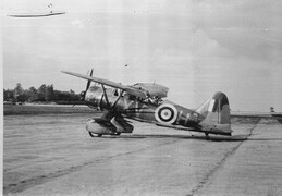 T1631 Westland Lysander