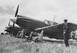 AG633 North American Mustang I