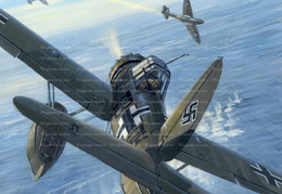 Arado 196 Units