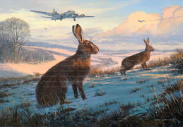 Border Patrol