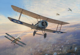Combat over Messines
