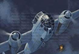 Dornier 217 Units