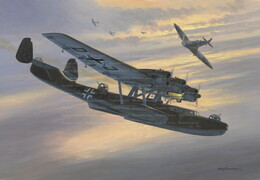 Dornier 24 Units