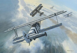 Fokker DVII