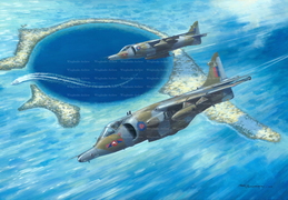 Harriers over Belize
