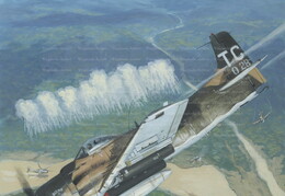 A-1 Skyraider Units
