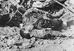 WWI1266B4