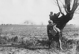 WWI1376WFB3