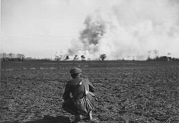 WWI1377WFB3
