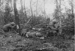 WWI1406WFB3