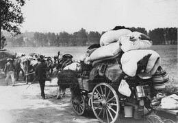 WWI1419WFB3