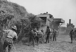 WWI1429WFB3