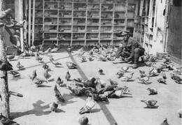 WWI1444WFB3