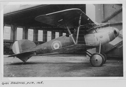 G101 Albatros D.Va
