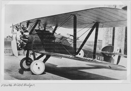 F3496 Bristol Badger