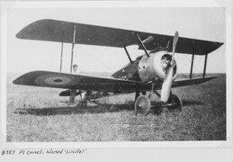 B387 Sopwith F1 Camel